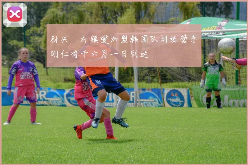 孙兴慜朴镇燮加盟韩国队训练营李刚仁将于六月一日到达