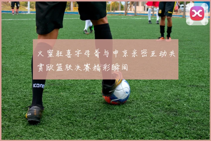 火蜜狂喜字母哥与申京亲密互动共赏欧篮联决赛精彩瞬间